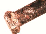 Bio-Corrosion of Iron