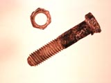 Bio-Corrosion of Iron