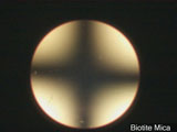 Biaxial Interference Figure