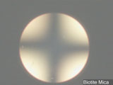 Biaxial Interference Figure