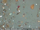 Wear Metals, Minerals, and Paint
