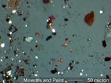 Wear Metals, Minerals, and Paint
