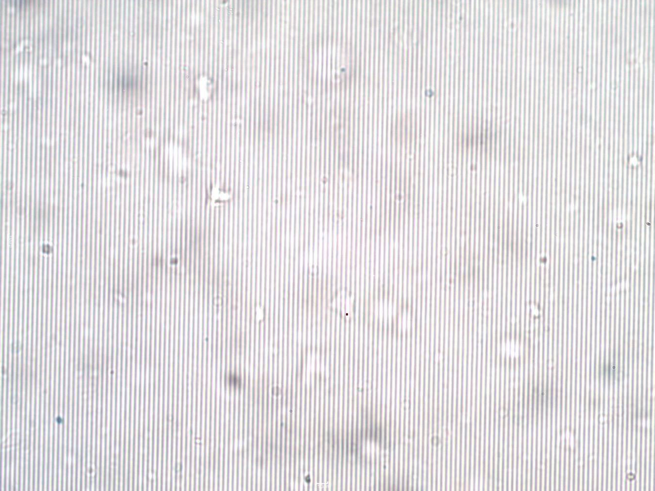 Diffraction Pattern
