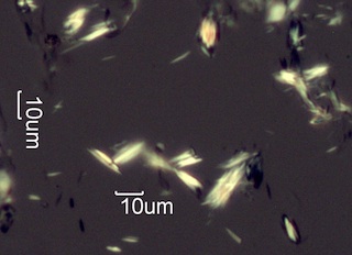Calcium Oxalate Phytoliths