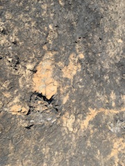 Burnt Clay, Grassland Fire 