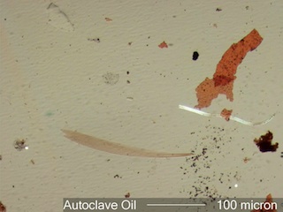Rust, Insect Parts, Plant Parts, etc.