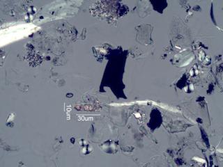 Calcium Oxalate Phytoliths from a Fire