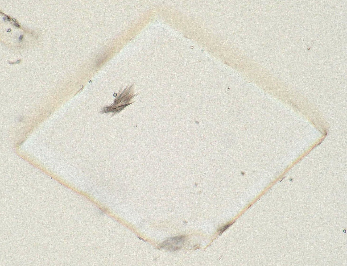 Calcite