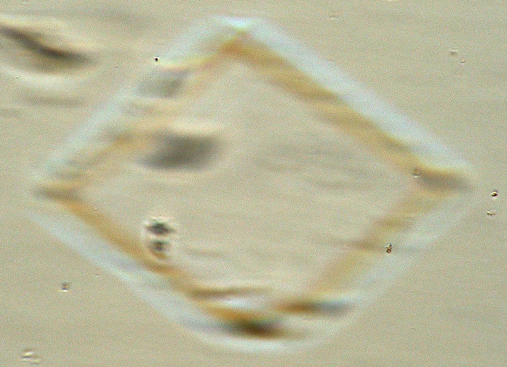 Calcite