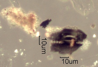 California Chaparral Fire Particles