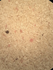Cancun Beach Sand