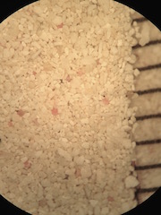 Cancun Beach Sand