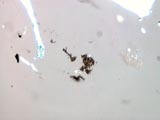 Candle Soot Tapelift