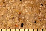 Sand, Cape Cod, Massachusetts