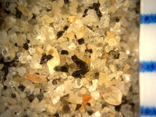 Sand, Palm Beach, Florida