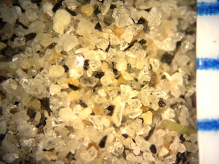 Sand, Palm Beach, Florida