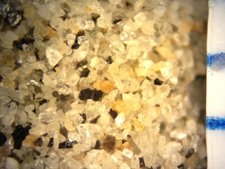 Sand, Palm Beach, Florida