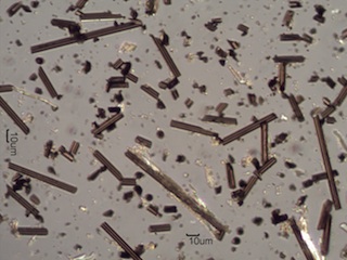 Carbon Fiber Composite Shop Debris