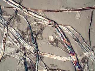 Carbonless Copy Paper Fibers