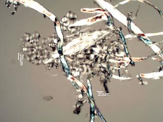 Carbonless Copy Paper Fibers