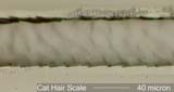 Cat Hair Scale Pattern, Mid-Shaft