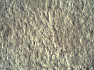 Ashed Cedar Bark