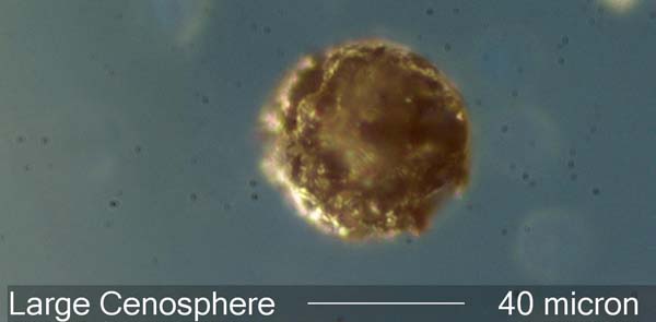 Cenosphere