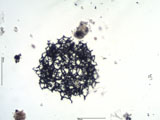 Cenosphere From Bunker C