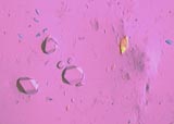 Cesium Alum Test for Aluminum