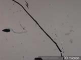 Charred Paper Fiber