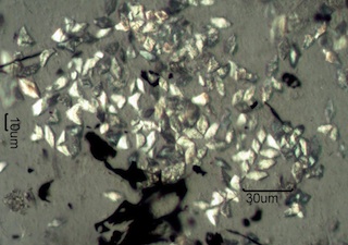 Ashed Mesquet Bark