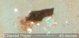 Charred Paper