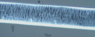 Cashmere Goat Hair