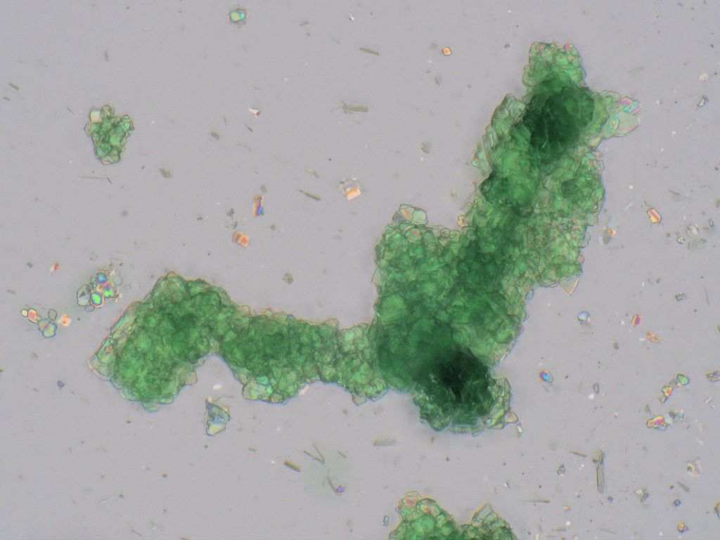Chromium Chloride