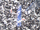 Chrysotile Asbestos
