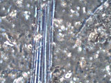 Chrysotile Asbestos