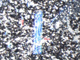 Chrysotile Asbestos