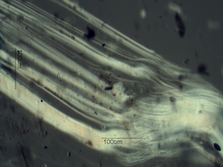 Chrysotile