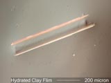 Clay Film from Water Under the Microscope
