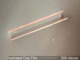 Clay Film from Water Under the Microscope