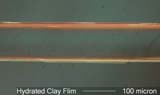 Clay Film from Water Under the Microscope