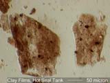 Clay Film from Hot Seal Tank Under the Microscope