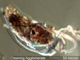 Cleaning Agglomerate