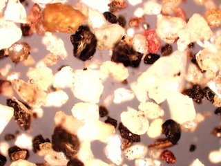 Coal Dust and Sand