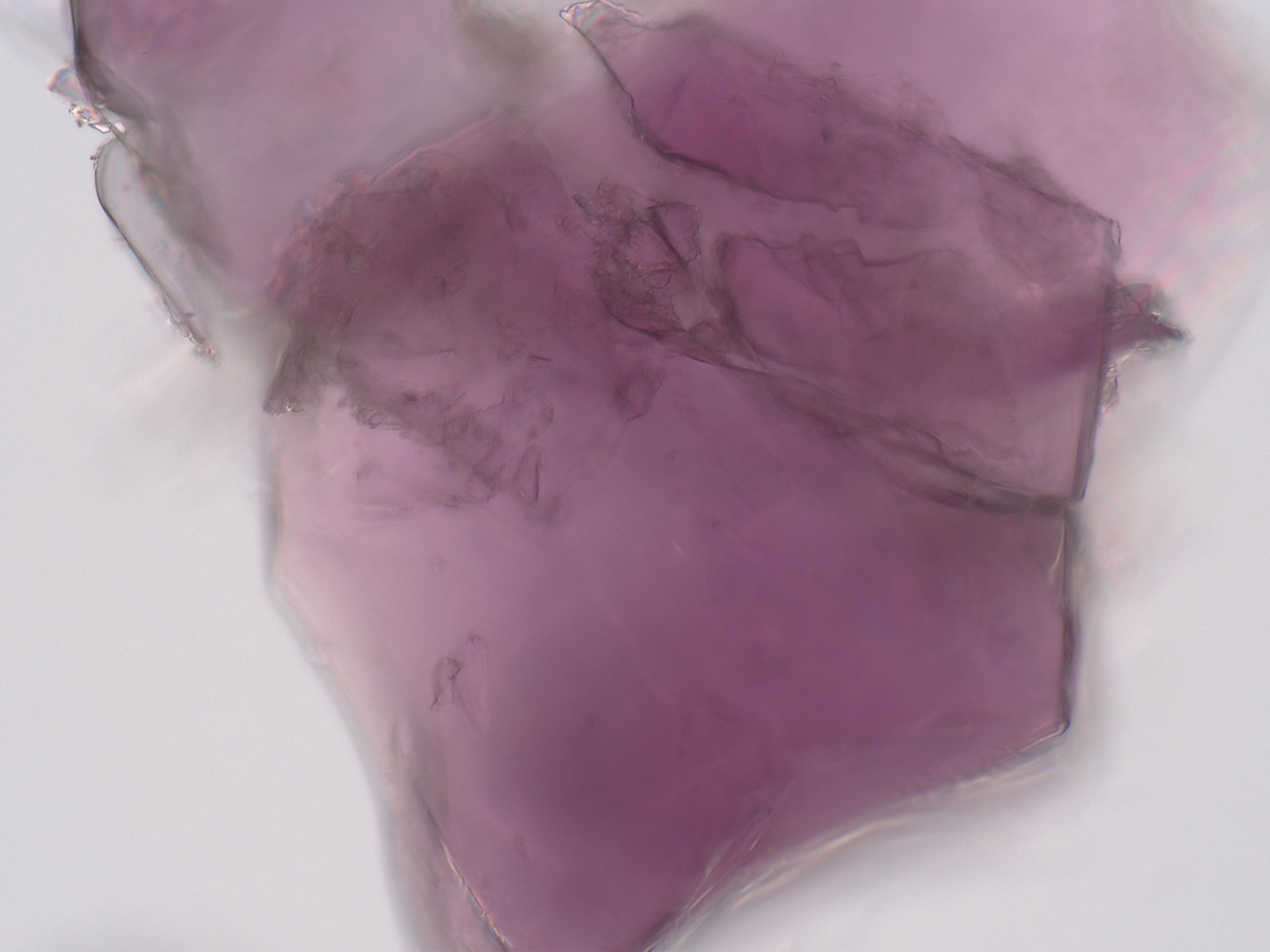 Cobalt Chloride