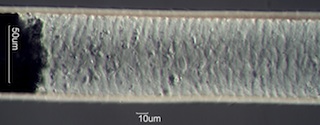 Common Goat Hair