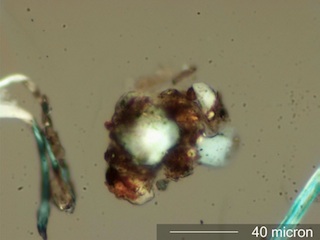 Concrete Dust Under the Microscope