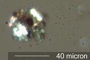 Concrete Dust Under the Microscope