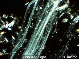 Chrysotile Field 1 in 1.550 RI Liquid Viewed with Polarized Light
