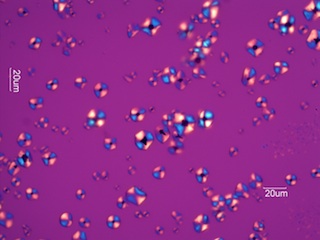 Corn Starch Under the Microscope